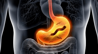 Stomach